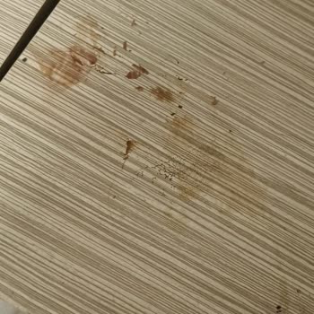 Çankırı KYK Erkek Öğrenci Yurdu’nda Hijyen ve Barınma Sorunları Öğrencileri Mağdur Ediyor