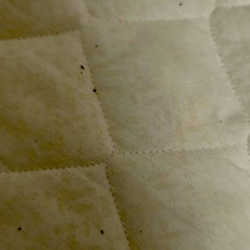 Çankırı KYK Erkek Öğrenci Yurdu’nda Hijyen ve Barınma Sorunları Öğrencileri Mağdur Ediyor