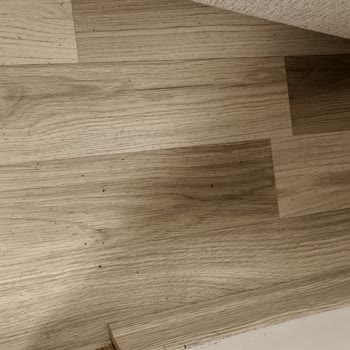 Çankırı KYK Erkek Öğrenci Yurdu’nda Hijyen ve Barınma Sorunları Öğrencileri Mağdur Ediyor