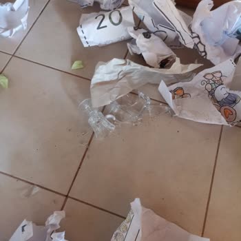 Taşınma Sonrası Büyük Zarar Ve İlgisizlik