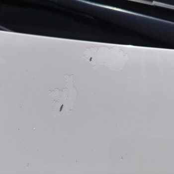 Garanti Sonrası Başlayan Vernik Atması Problemi İçin Çözüm Bulunmuyor