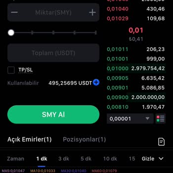 Mexc Borsasında Gerçekleşmeyen Satış Emri ve Zararın Karşılanmaması