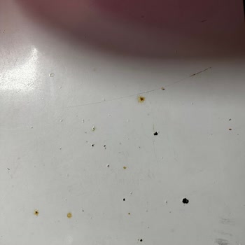 Vestel Derin Dondurucu Kapağında Boya Atması Ve Paslanma, Çözüm Sunulmuyor