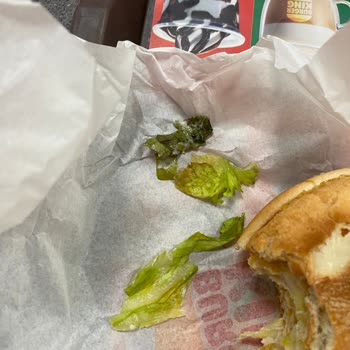 Çürük Marullarla Gelen Hayal Kırıklığı