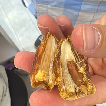 Atadan Ürünler Kötü Ürün Kalitesi Ve Yetersiz Müşteri Hizmetiyle Büyük Hayal Kırıklığı