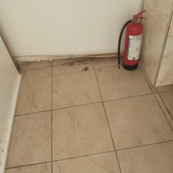 Hijyen Sorunları Ve İlgisiz Yönetim: Ücret İadesi Talebim