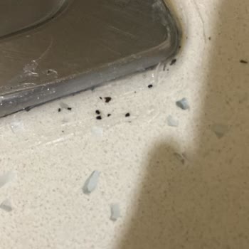 Erol Tesisat Ödediğim Ücretin Karşılığını Alamadım