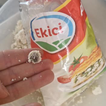 Aldığım Lor Peynirinden Küflü Parça Çıktı, Açıklama Ve Özür Bekliyorum