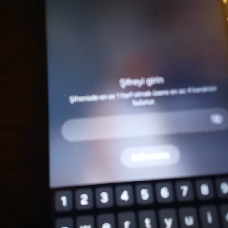 Telefonum Kendi Kendine Kilitlendi, Acil Destek Bekliyorum!