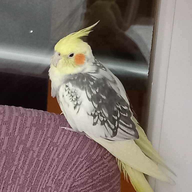 112 Acil Personelinin Duyarsızlığı Nedeniyle Yaşadığım Mağduriyet