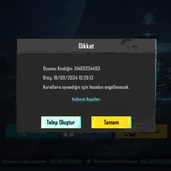 Satın Aldığım PUBG Hesaplarının Çoğu Çalışmıyor