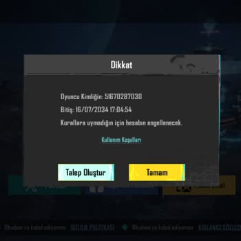 Satın Aldığım PUBG Hesaplarının Çoğu Çalışmıyor