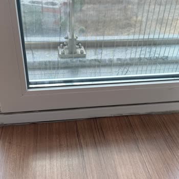 Mor Panjur Profesyonel Temizlik Beklentisi Karşılanmadı