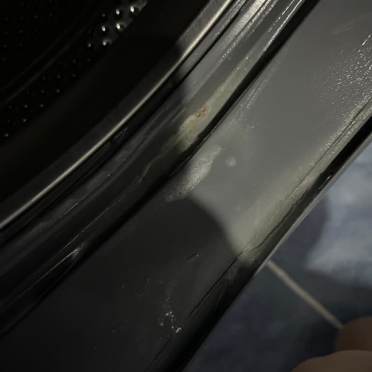 Vestel Çamaşır Makinesinde Çamur Birikmesi, Kötü Koku Ve Su Sızıntısı Sorunları