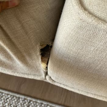 Yeni Alınan Koltukta Kumaş Yırtığı Ve Çözüm Eksikliği