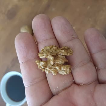 Pahalıya Aldığım Ceviz Hayal Kırıklığı Yarattı