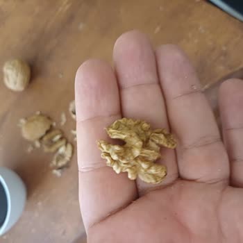 Pahalıya Aldığım Ceviz Hayal Kırıklığı Yarattı