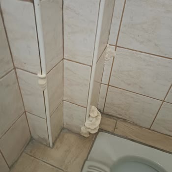 Eksper Gönderilmeden Dosya Kapatıldı, Mağduriyetim Giderilmedi