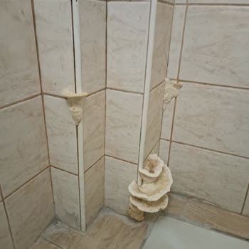 Eksper Gönderilmeden Dosya Kapatıldı, Mağduriyetim Giderilmedi