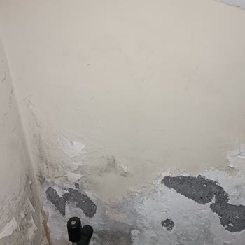 Eksper Gönderilmeden Dosya Kapatıldı, Mağduriyetim Giderilmedi