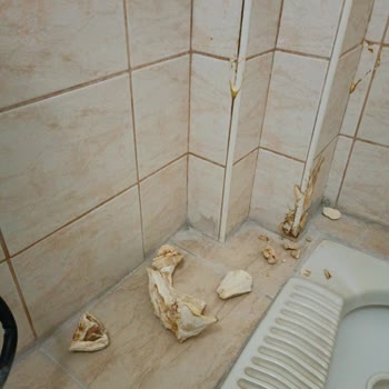 Eksper Gönderilmeden Dosya Kapatıldı, Mağduriyetim Giderilmedi