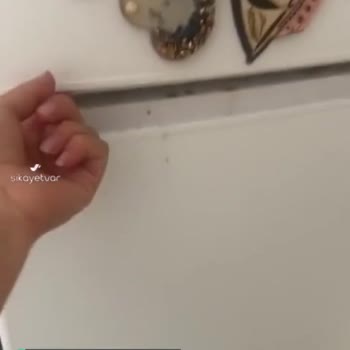 Regal Ürününün Arkasında Durmuyor