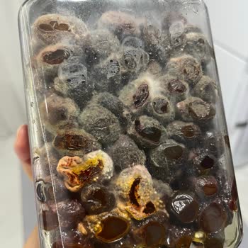 Eksik Ürün Ve Küflü Zeytin Gönderimi Sonrası İade Sorunu