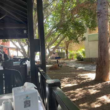 Otel Hijyen Sorunları Ve İlgisiz Yönetim Nedeniyle Mağduriyet Yaşadık