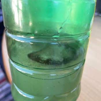 Limon Sosunda Şüpheli Parça Ve Yetersiz Müşteri Hizmetleri