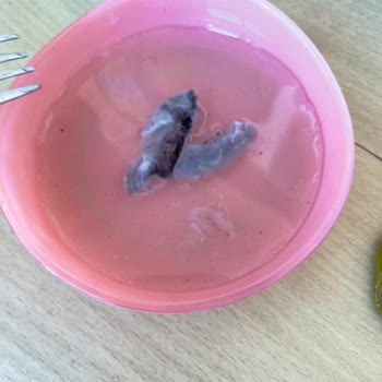 Limon Sosunda Şüpheli Parça Ve Yetersiz Müşteri Hizmetleri