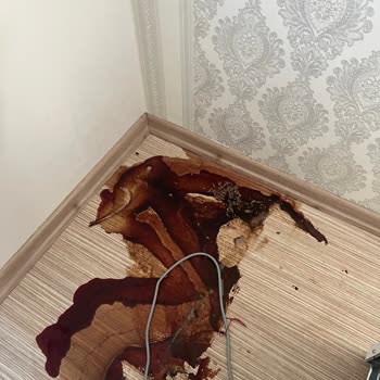 Evdeki Ciddi Hasar Ve Kokuya Rağmen Sigorta Şirketinden Yetersiz Destek