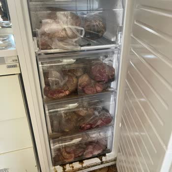 Evdeki Ciddi Hasar Ve Kokuya Rağmen Sigorta Şirketinden Yetersiz Destek