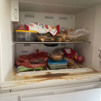 Evdeki Ciddi Hasar Ve Kokuya Rağmen Sigorta Şirketinden Yetersiz Destek