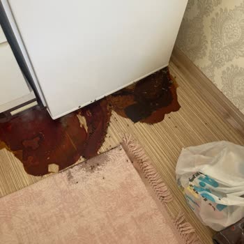 Evdeki Ciddi Hasar Ve Kokuya Rağmen Sigorta Şirketinden Yetersiz Destek