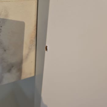 Kelebek Mobilya'dan Hasarlı Ürün Teslimatı Ve Sorunların Çözümsüzlüğü