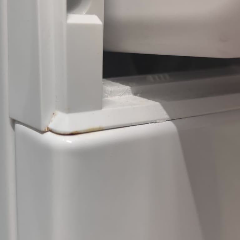 Bosch Çamaşır Makinesinde Tekrarlayan Çürüme Sorunu Ve Ürün Değişim Talebi