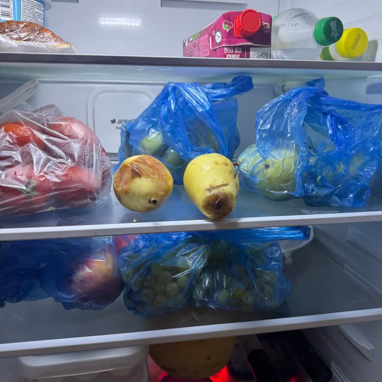 Sıfır Buzdolabında İlk Günden Beri Devam Eden Soğutma Sorunu Mağduriyet Yaşatıyor