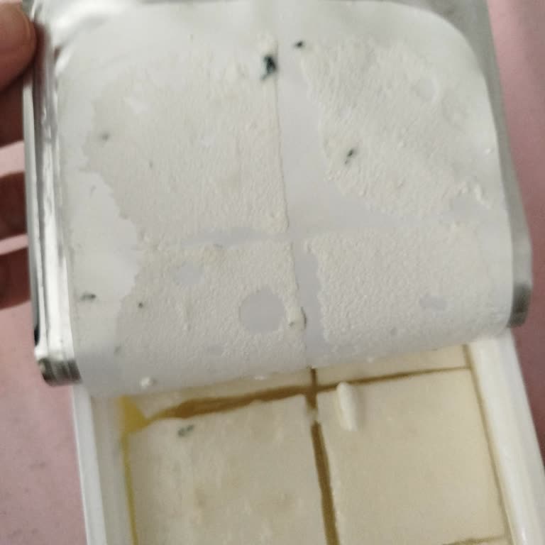 Kapalı Ambalajda Satılan Beyaz Peynirin Erken Küflenmesi ve İade Sorunu