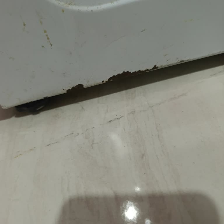 Arçelik Çamaşır Makinemdeki Paslanma Sorununa Servis İlgisizliği Mağduriyet Yaratıyor