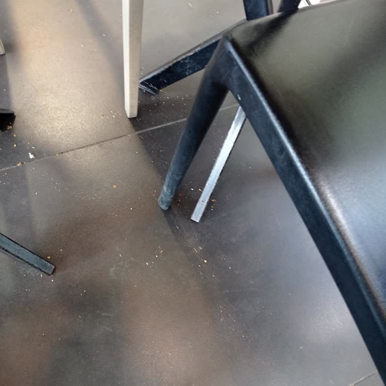 Ressa Cafe'de Hijyen Eksikliği Ve Böcek Sorunu Müşteri Sağlığını Tehdit Ediyor