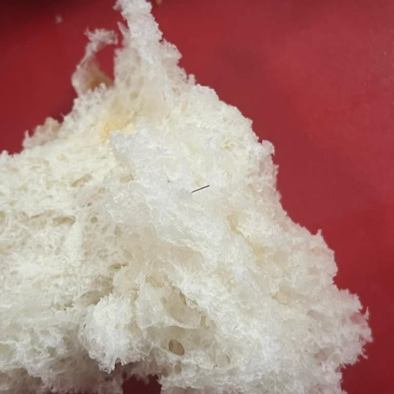 Malatya Belediyesi'nden Hizmette Büyük Aksaklık Ve İlgisizlik