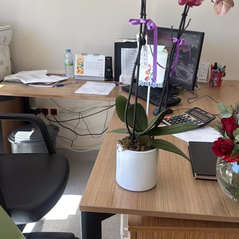 Solmuş Orkide Ve Yetersiz Müşteri Hizmeti Nedeniyle Mağduriyet