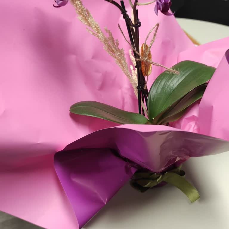 Yanlış Ve Kalitesiz Ürün Gönderimi, Müşteri Hizmetlerinden Dönüş Alınamıyor