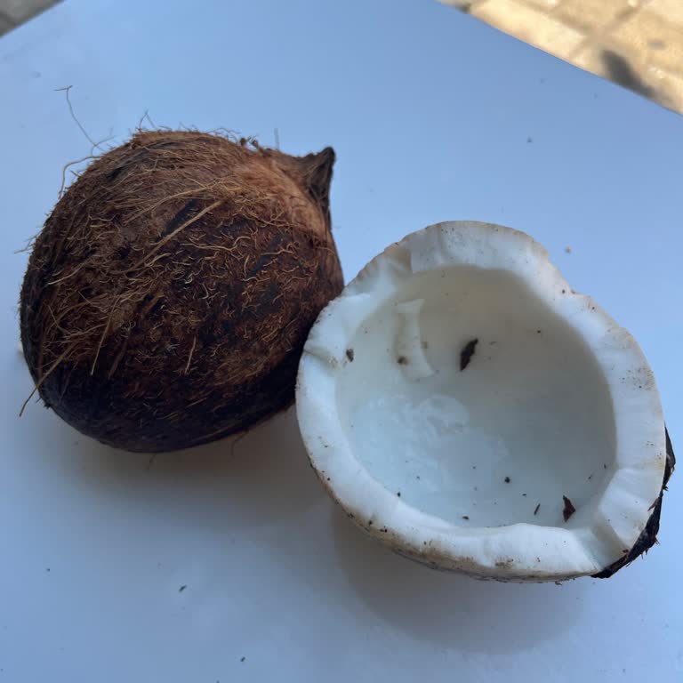 Migros'tan Bozuk Hindistan Cevizi Ve Para İadesi Talebi