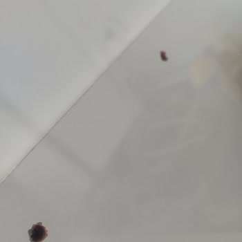 Eksik Parçalı Ve Güvensiz Beşik İçin Çözüm Bulunamıyor, Müşteri Hizmetleri Yanıt Vermiyor