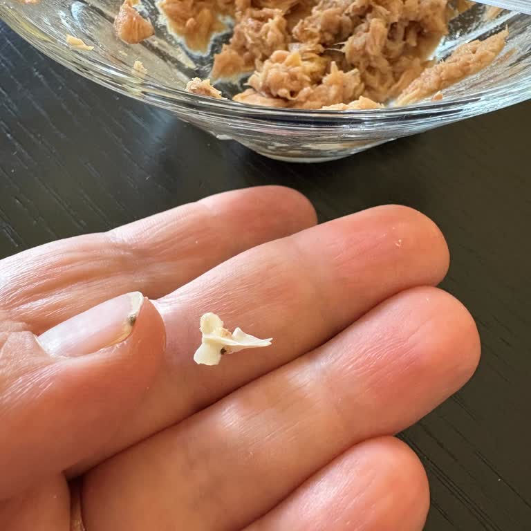 Fide Ton Balığı’ndan Kılçık Ve Kemik Şoku: Sağlık Riski Ve Güven Kaybı