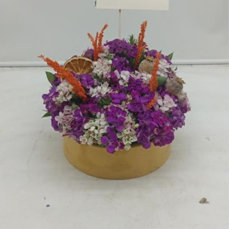 Siparişimde Renk Farkı Ve Yetersiz Müşteri Desteği Deneyimi