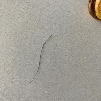 Ozmo Ürününden Kıl Çıkması Hijyen Konusunda Hayal Kırıklığı Yarattı