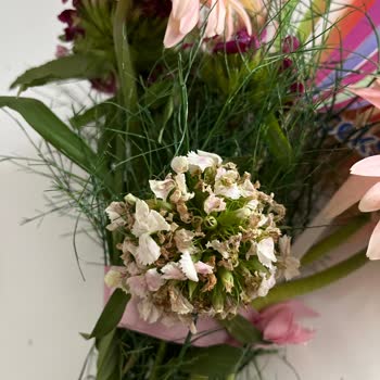 Sipariş Edilen Çiçek Buketinin Görsel ve Kalite Uyumsuzluğu Hakkında Şikayet