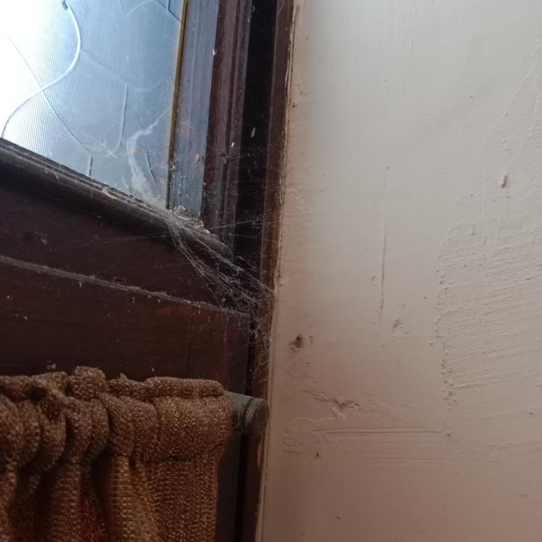 Belkon Otel’de Hijyen Ve Hizmet Sorunlarıyla Karşılaştık